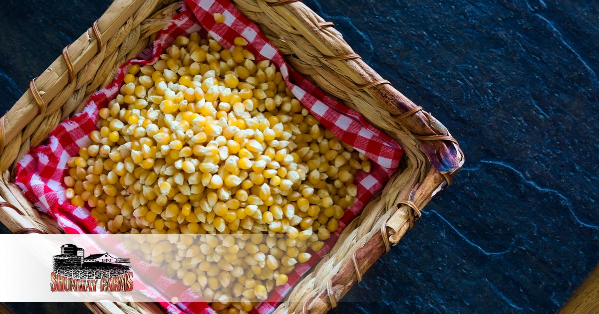 5 Uses For Unpopped Popcorn Kernels