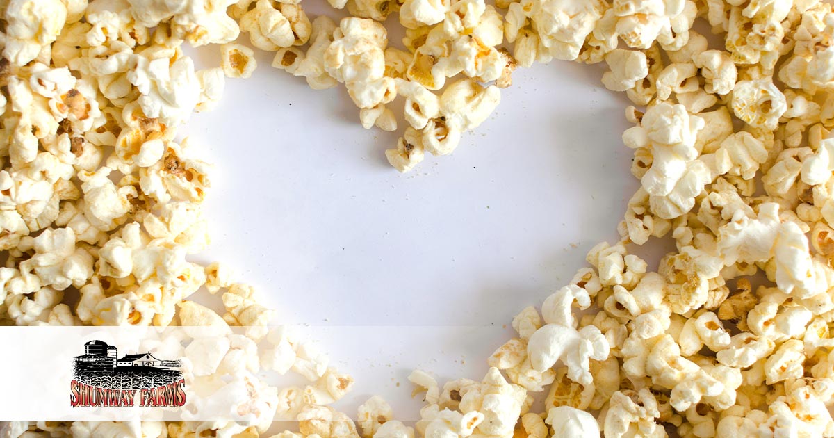 Is Popcorn Keto Everything You Need To Know