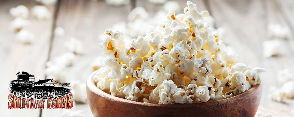 Salt Popcorn On The Wooden Table, Selective Focus