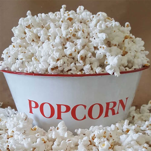 Bulk Popcorn Kernels Wholesale