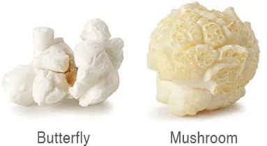 Varieties Of Popcorn